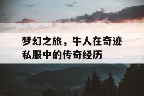梦幻之旅，牛人在奇迹私服中的传奇经历