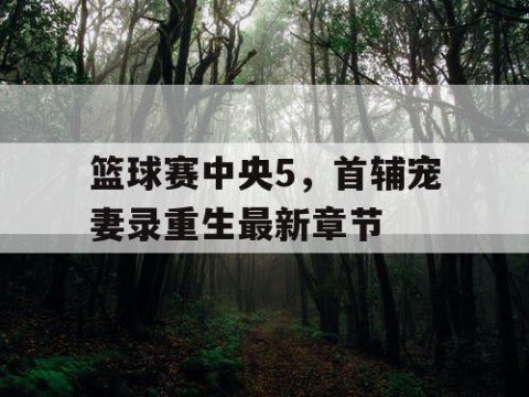 篮球赛中央5，首辅宠妻录重生最新章节