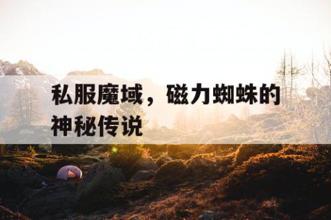 私服魔域，磁力蜘蛛的神秘传说