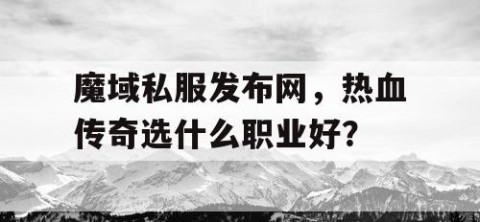 魔域私服发布网，热血传奇选什么职业好？