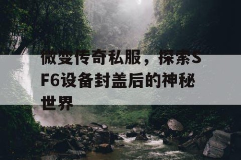微变传奇私服，探索SF6设备封盖后的神秘世界