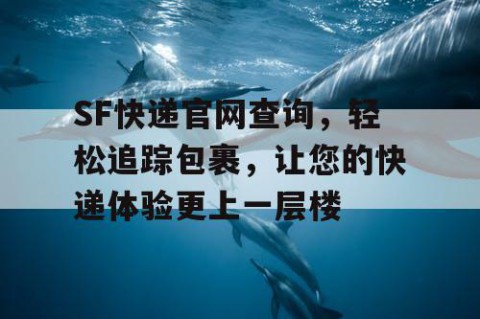 SF快递官网查询，轻松追踪包裹，让您的快递体验更上一层楼