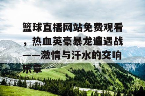 篮球直播网站免费观看，热血英豪暴龙遭遇战——激情与汗水的交响乐章