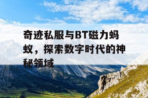奇迹私服与BT磁力蚂蚁，探索数字时代的神秘领域
