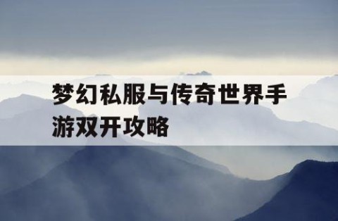 梦幻私服与传奇世界手游双开攻略