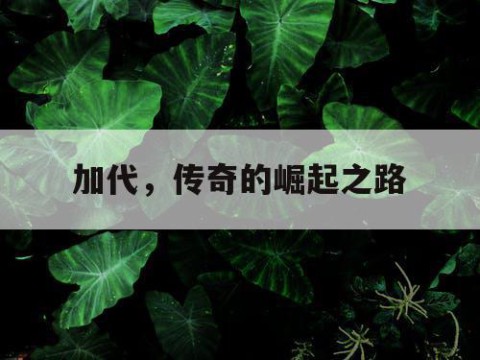 加代，传奇的崛起之路