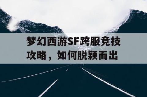 梦幻西游SF跨服竞技攻略，如何脱颖而出