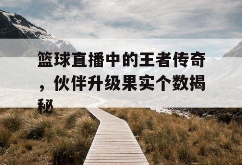 篮球直播中的王者传奇，伙伴升级果实个数揭秘