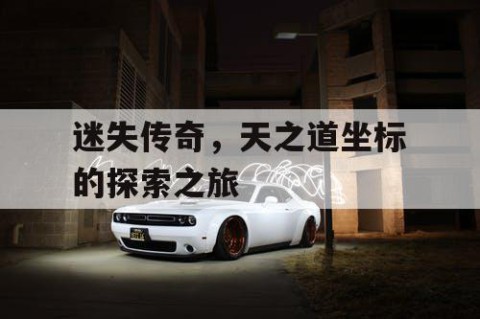 迷失传奇，天之道坐标的探索之旅