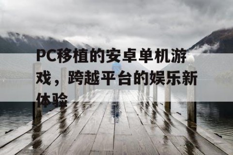 PC移植的安卓单机游戏，跨越平台的娱乐新体验