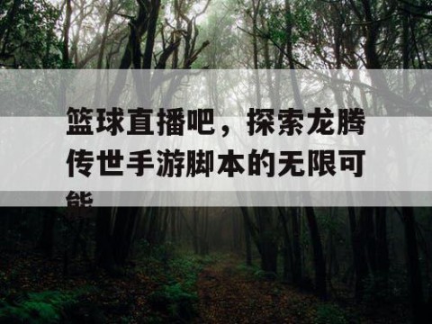 篮球直播吧,探索龙腾传世手游脚本的无限可能