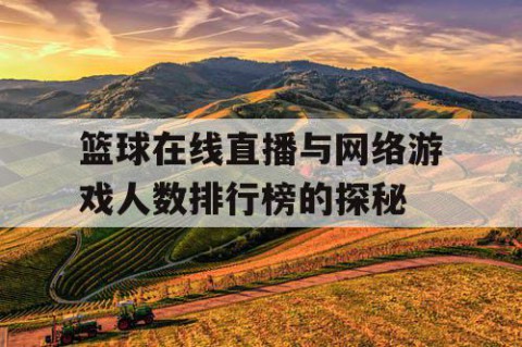 篮球在线直播与网络游戏人数排行榜的探秘