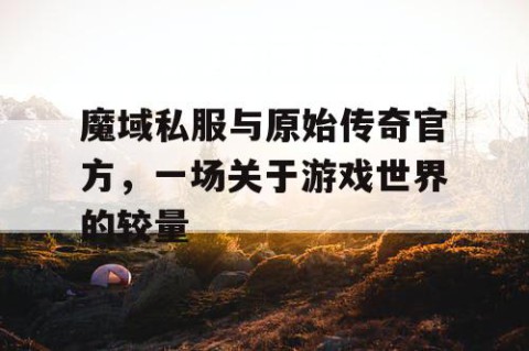 魔域私服与原始传奇官方，一场关于游戏世界的较量