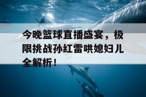 今晚篮球直播盛宴,极限挑战孙红雷哄媳妇儿全解析!
