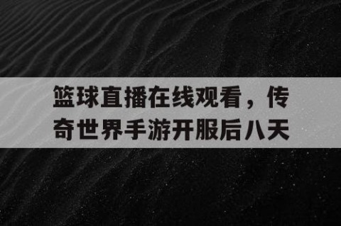 篮球直播在线观看，传奇世界手游开服后八天