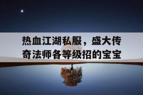 热血江湖私服，盛大传奇法师各等级招的宝宝