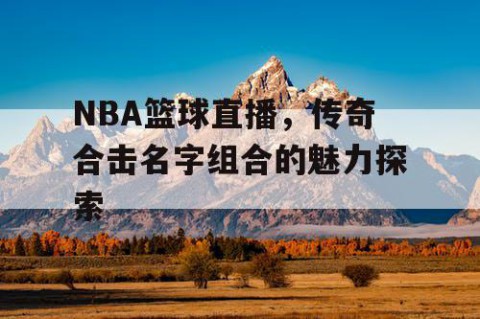 NBA篮球直播,传奇合击名字组合的魅力探索