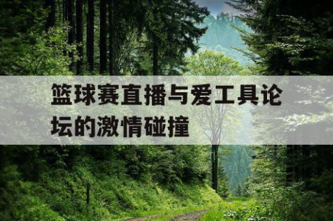 篮球赛直播与爱工具论坛的激情碰撞