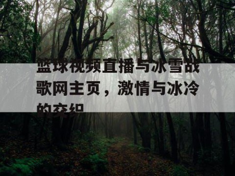 篮球视频直播与冰雪战歌网主页，激情与冰冷的交织