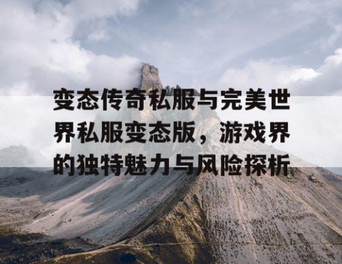 变态传奇私服与完美世界私服变态版,游戏界的独特魅力与风险探析