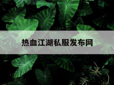 热血江湖私服发布网