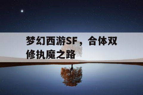 梦幻西游SF，合体双修执魔之路