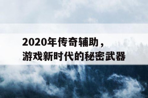 2020年传奇辅助，游戏新时代的秘密武器
