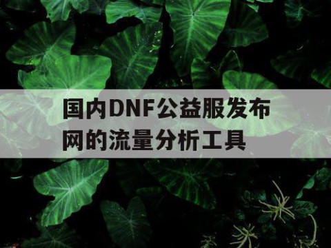 国内DNF公益服发布网的流量分析工具