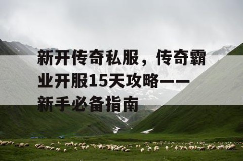 新开传奇私服，传奇霸业开服15天攻略——新手必备指南
