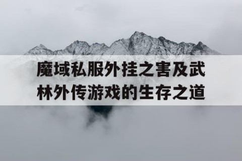 魔域私服外挂之害及武林外传游戏的生存之道