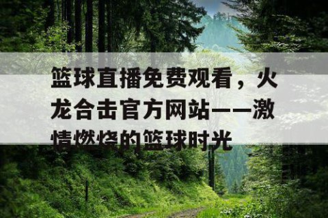 篮球直播免费观看，火龙合击官方网站——激情燃烧的篮球时光