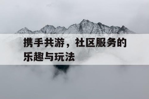 携手共游，社区服务的乐趣与玩法