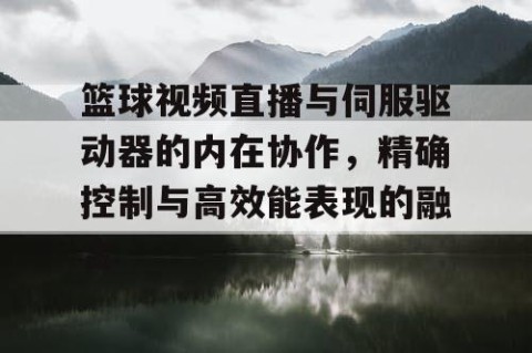 篮球视频直播与伺服驱动器的内在协作，精确控制与高效能表现的融合