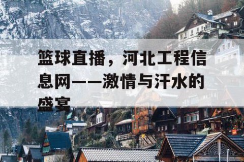 篮球直播，河北工程信息网——激情与汗水的盛宴