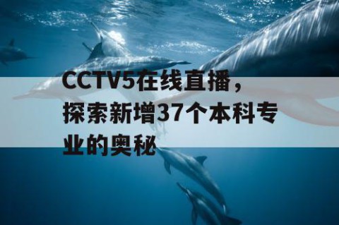 CCTV5在线直播，探索新增37个本科专业的奥秘