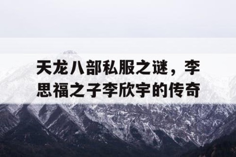 天龙八部私服之谜，李思福之子李欣宇的传奇