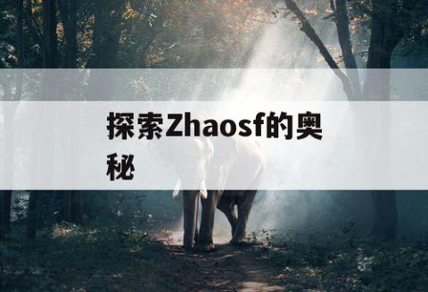 探索Zhaosf的奥秘