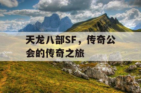天龙八部SF，传奇公会的传奇之旅