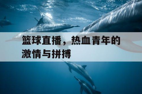 篮球直播，热血青年的激情与拼搏