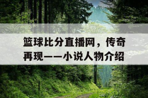 篮球比分直播网，传奇再现——小说人物介绍