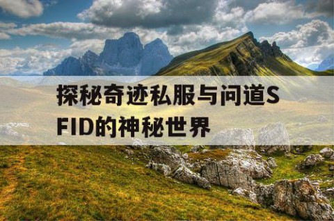 探秘奇迹私服与问道SFID的神秘世界