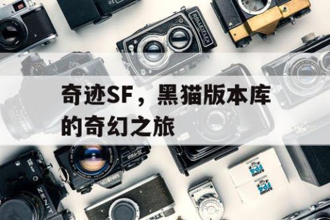 奇迹SF，黑猫版本库的奇幻之旅