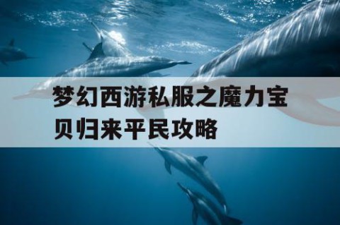 梦幻西游私服之魔力宝贝归来平民攻略