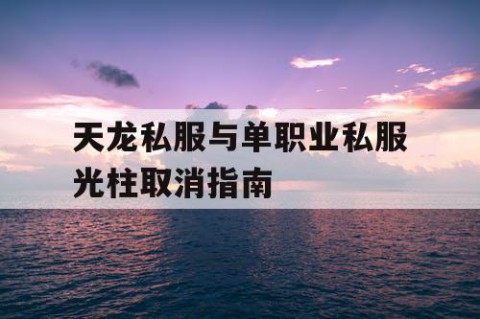 天龙私服与单职业私服光柱取消指南