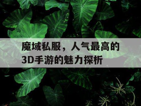 魔域私服，人气最高的3D手游的魅力探析