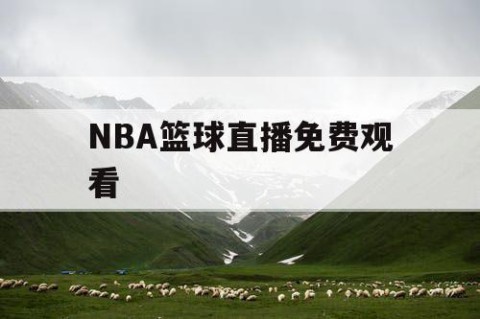 NBA篮球直播免费观看