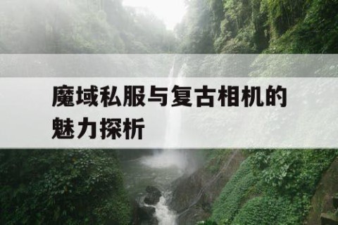 魔域私服与复古相机的魅力探析
