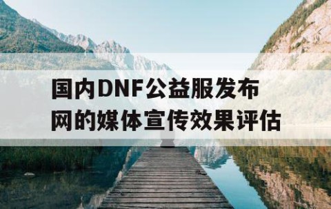 国内DNF公益服发布网的媒体宣传效果评估