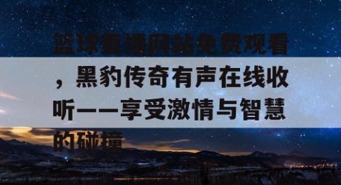 篮球直播网站免费观看，黑豹传奇有声在线收听——享受激情与智慧的碰撞