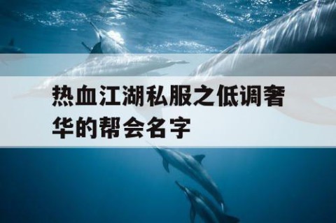 热血江湖私服之低调奢华的帮会名字